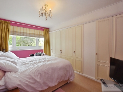 Picture 11